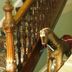 Escaleras
