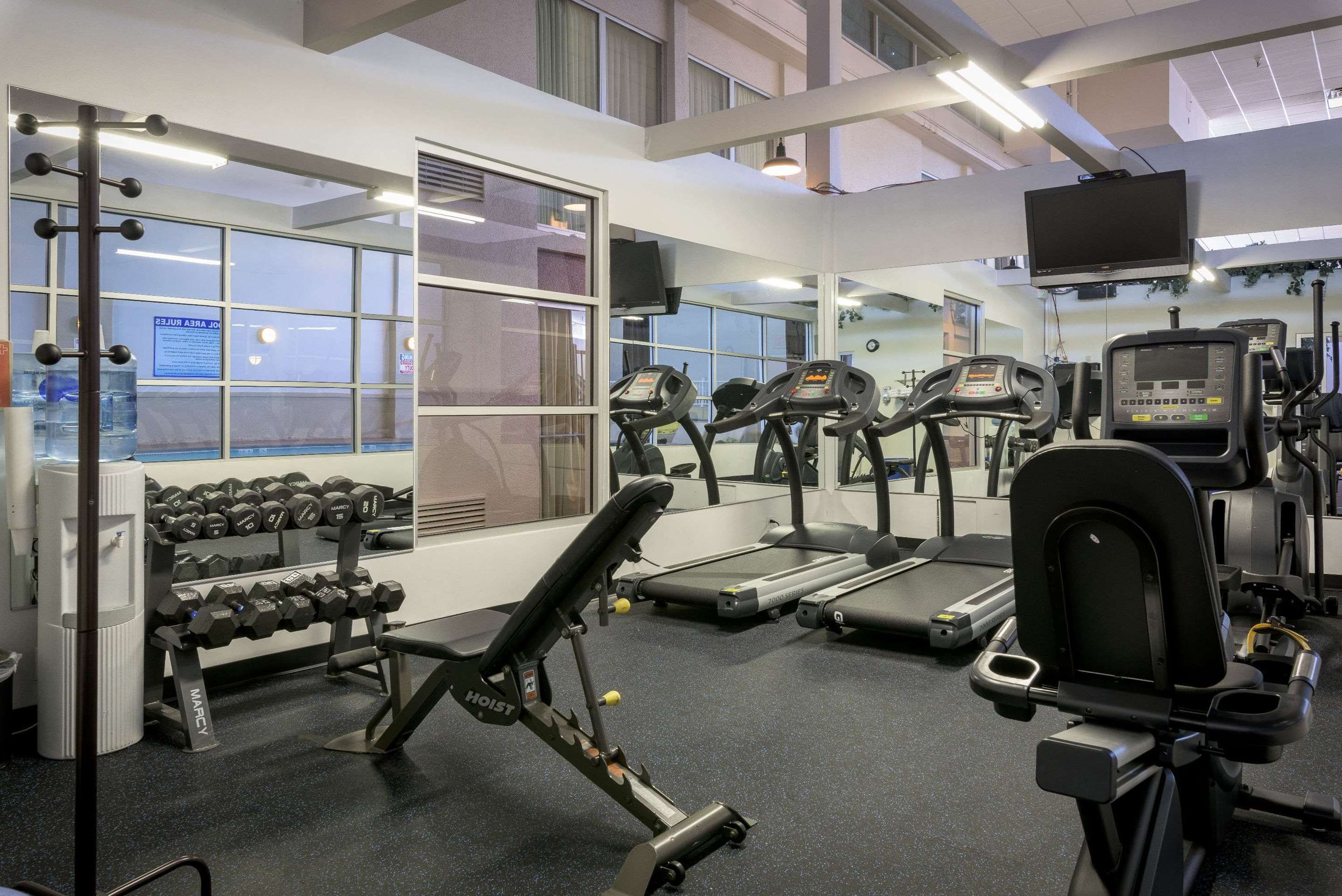 Gimnasio