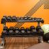Gimnasio