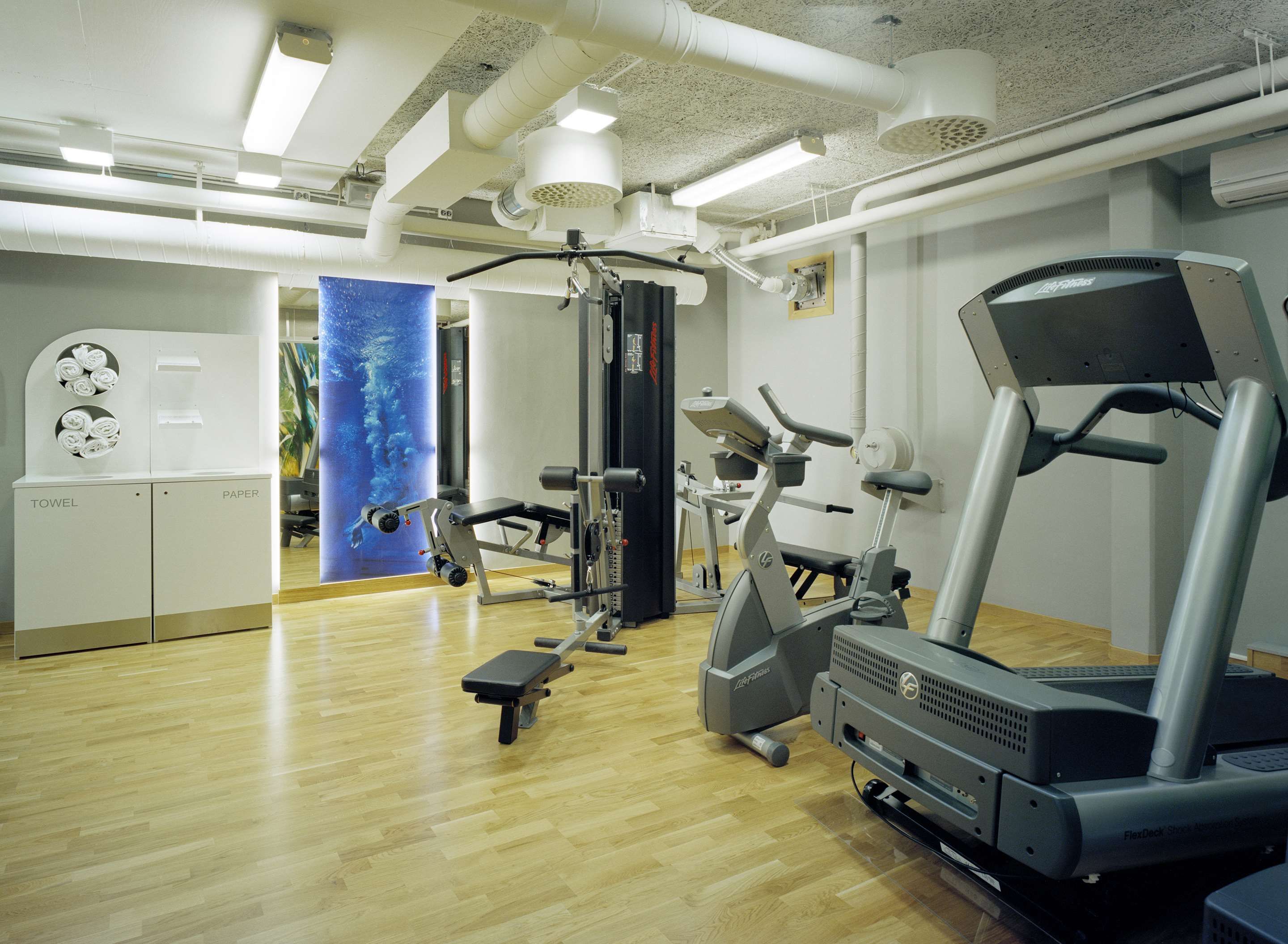 Gimnasio