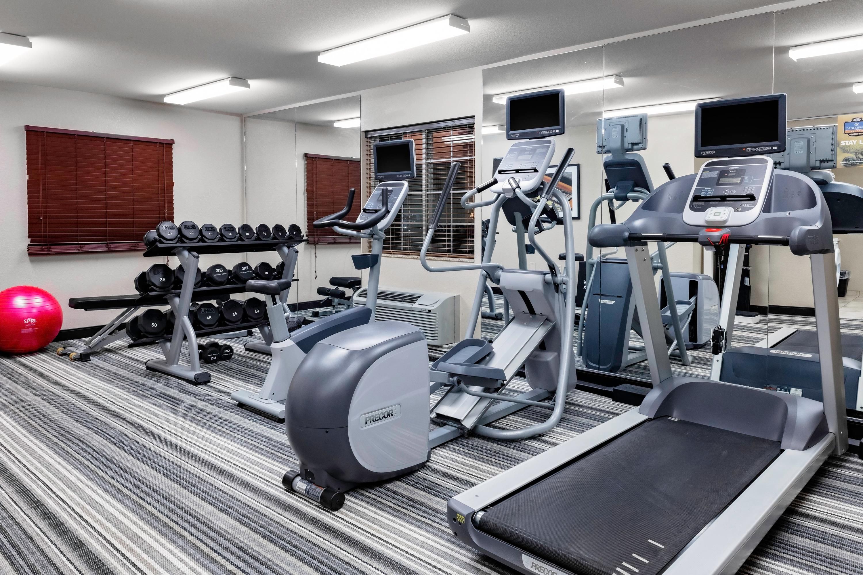 Gimnasio