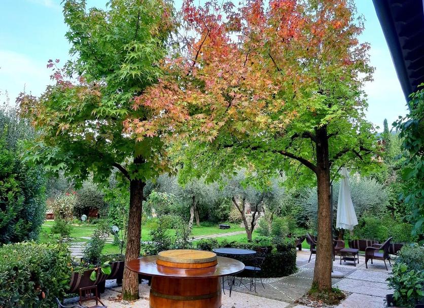 Patio Foto