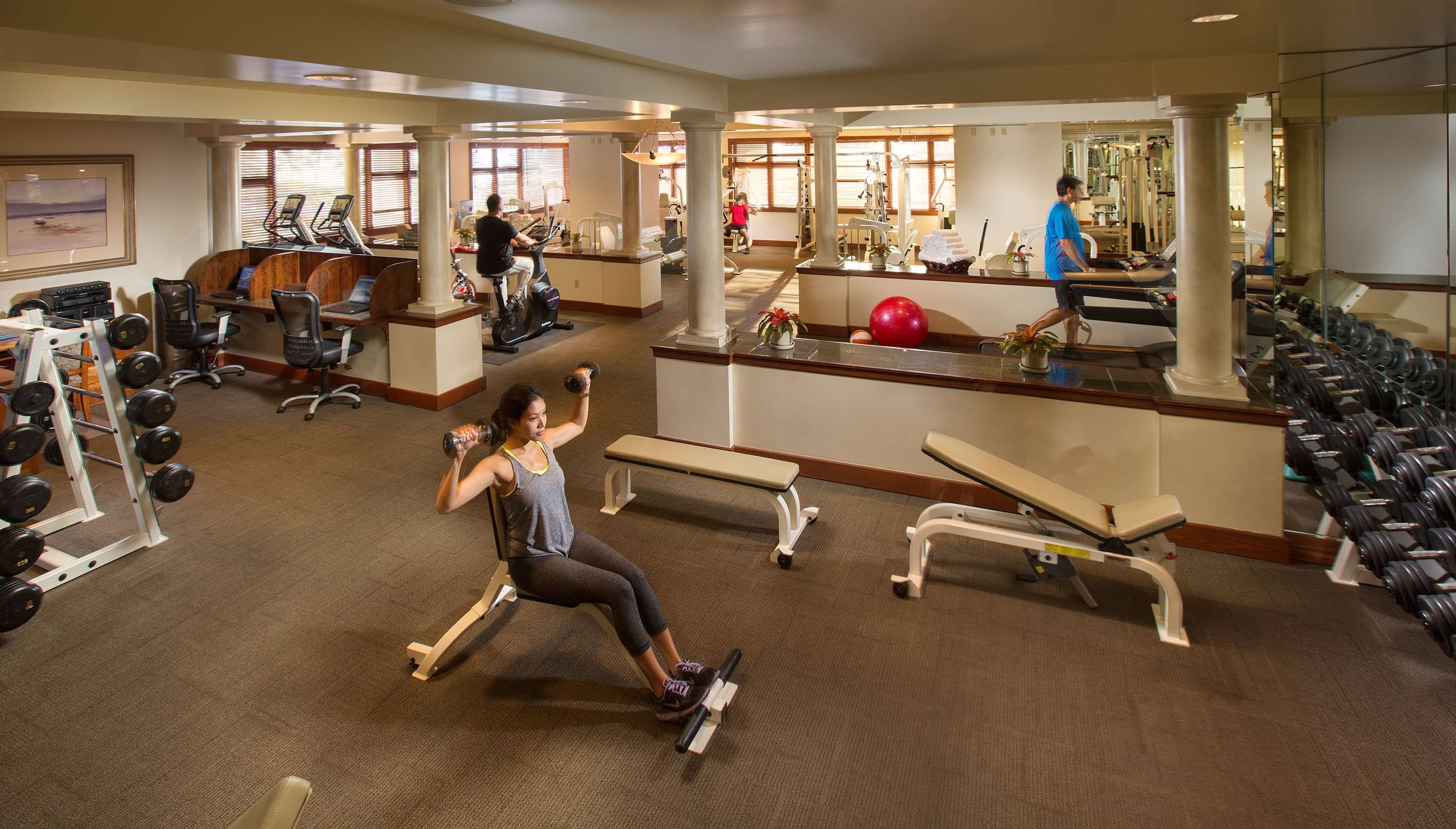 Gimnasio