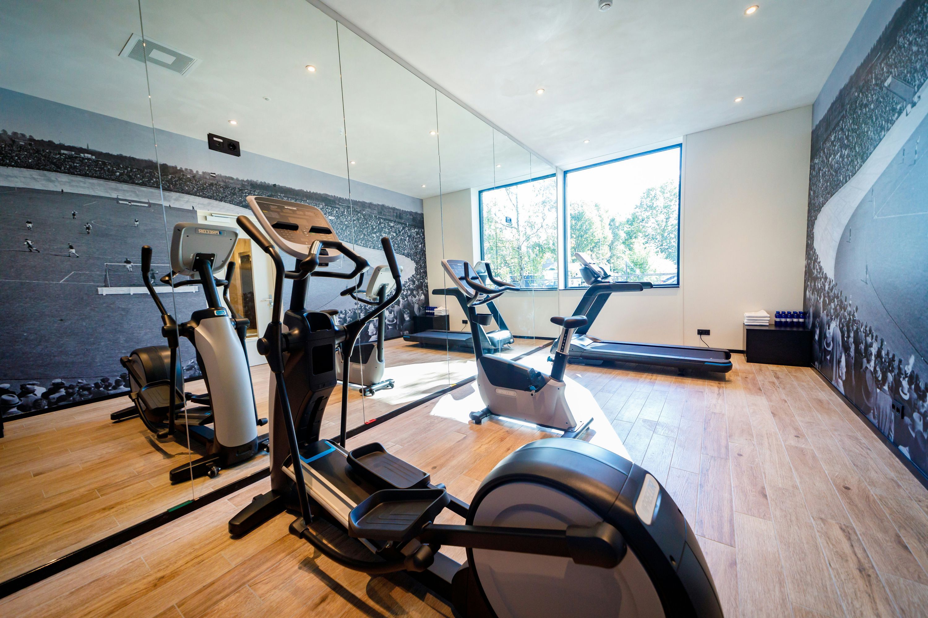 Gimnasio