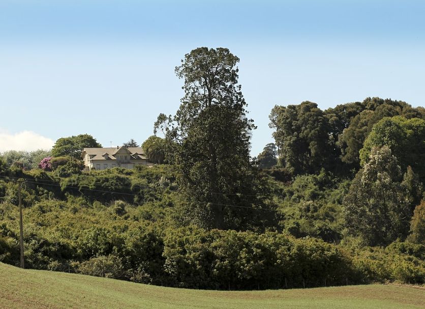 Vista del exterior Foto