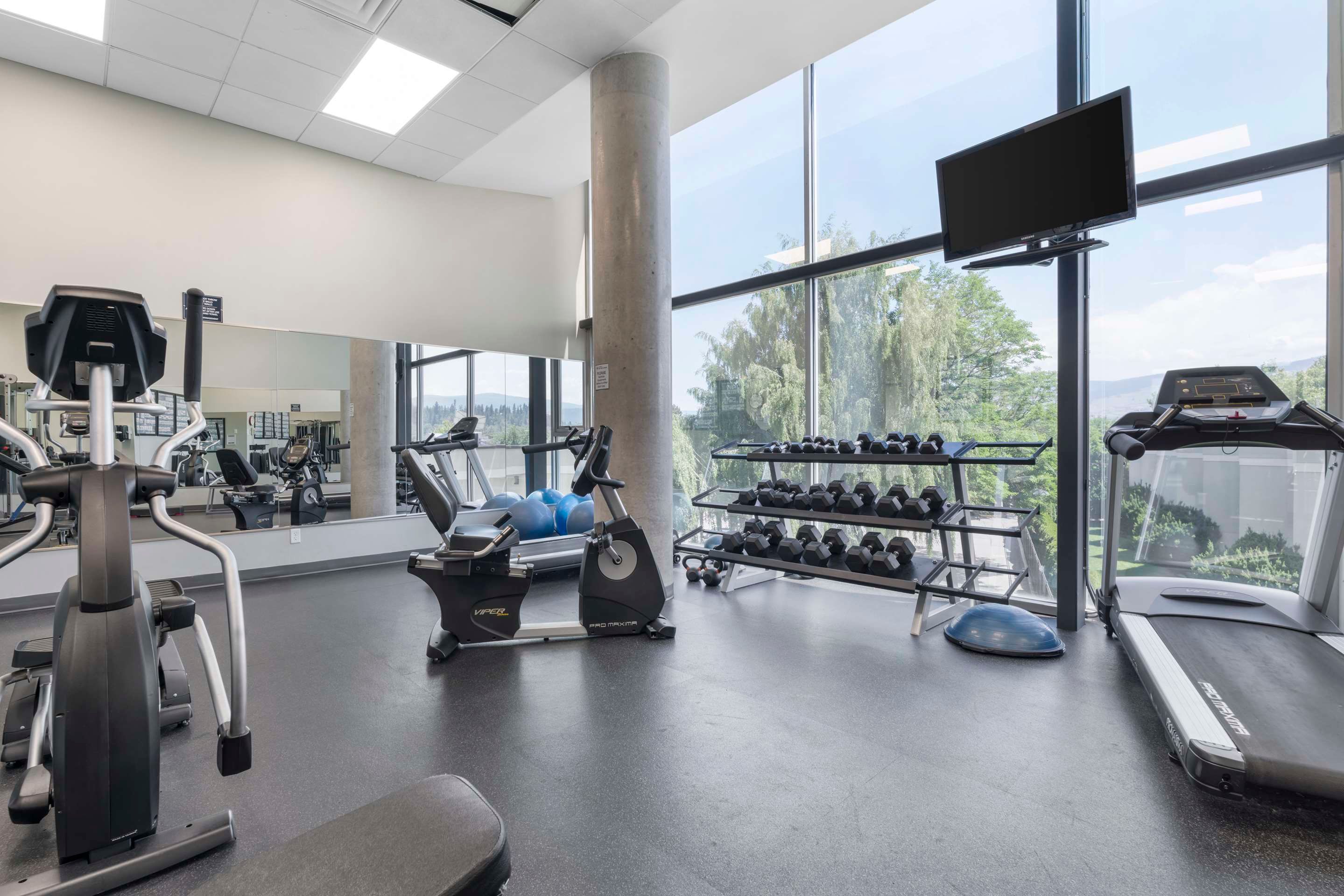 Gimnasio