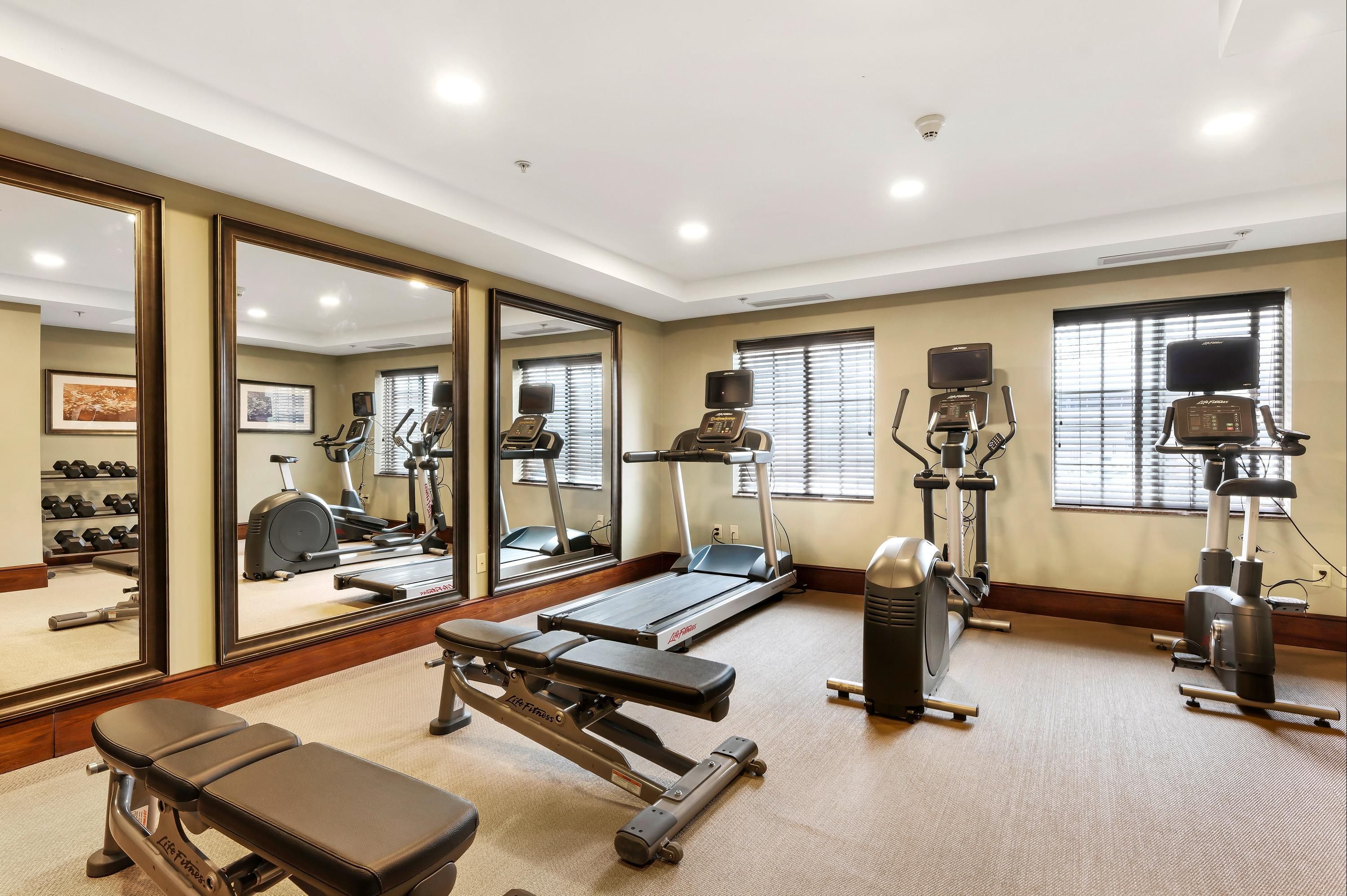Gimnasio