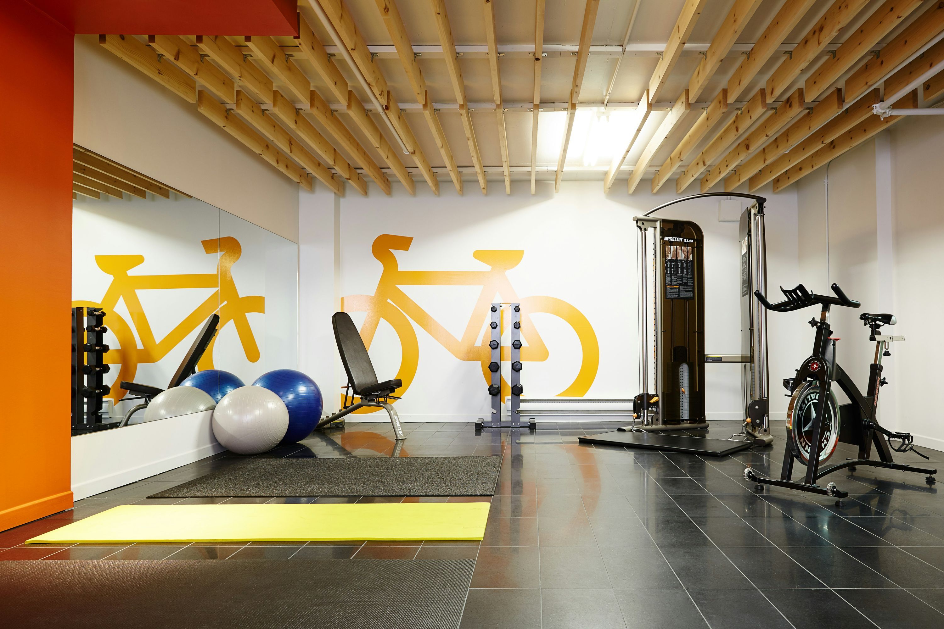 Gimnasio