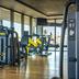 Gimnasio