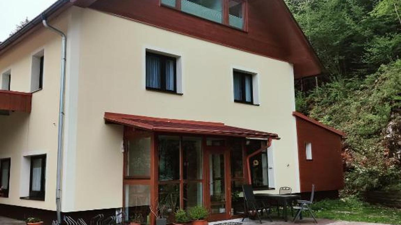 Seeblick Krippenstein