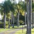 Vista del exterior