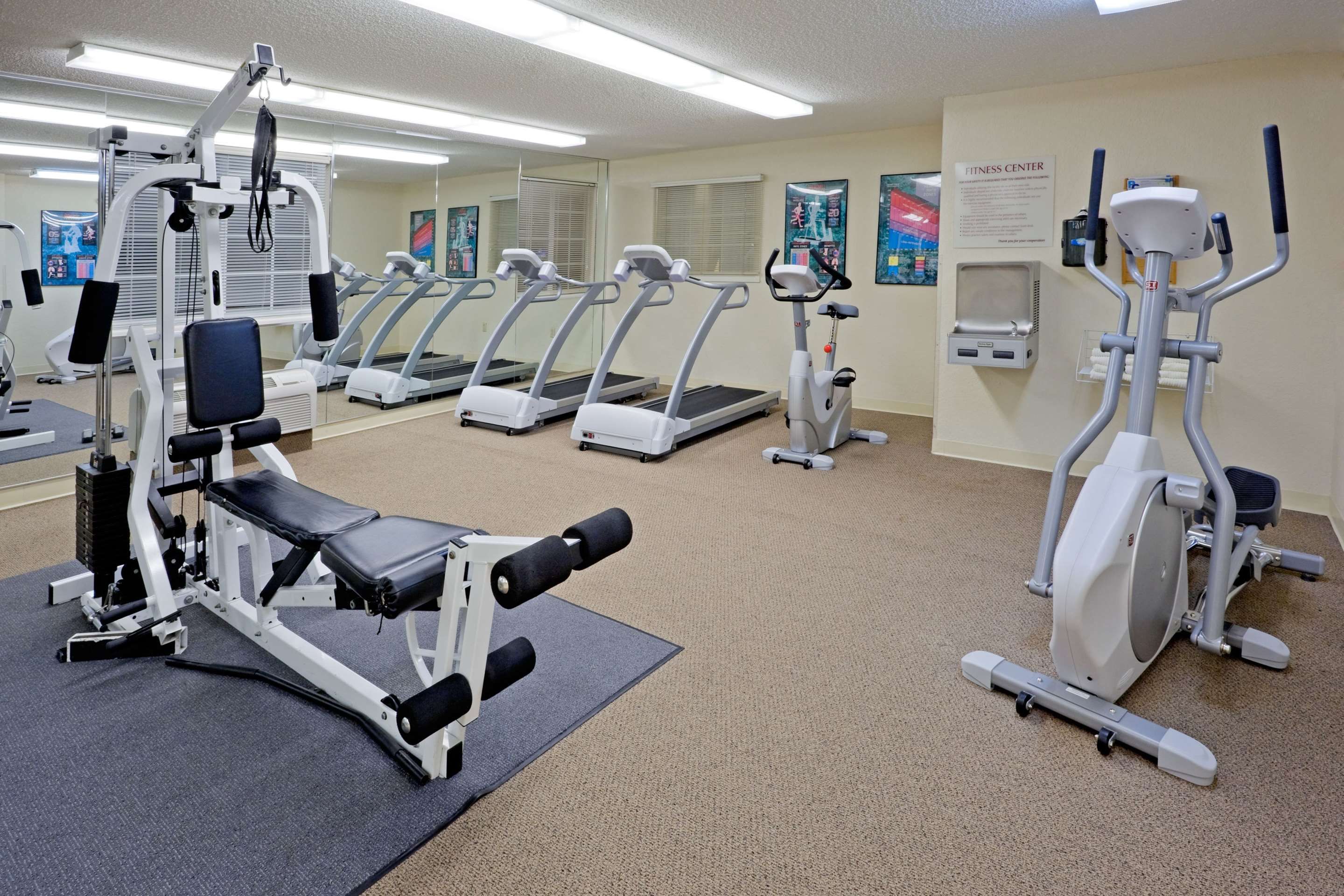 Gimnasio