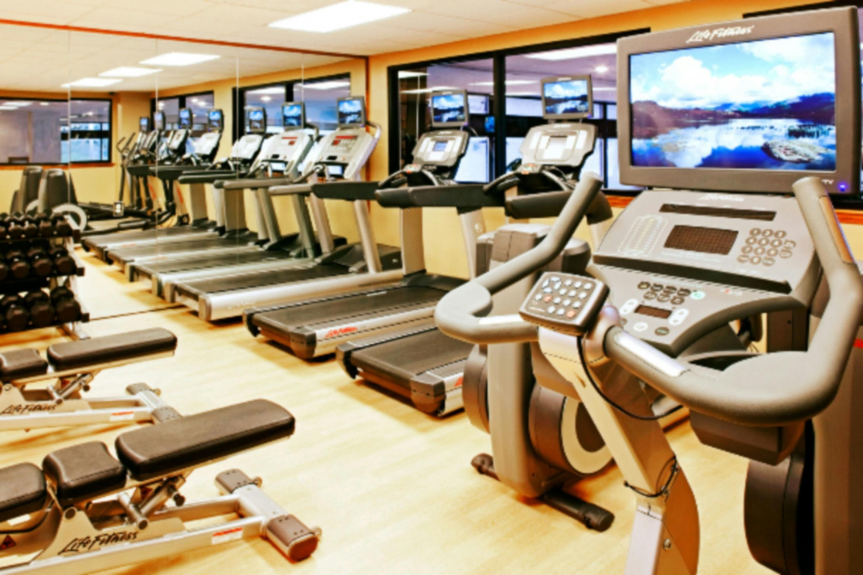 Gimnasio