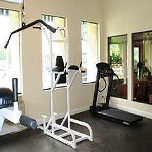 Gimnasio