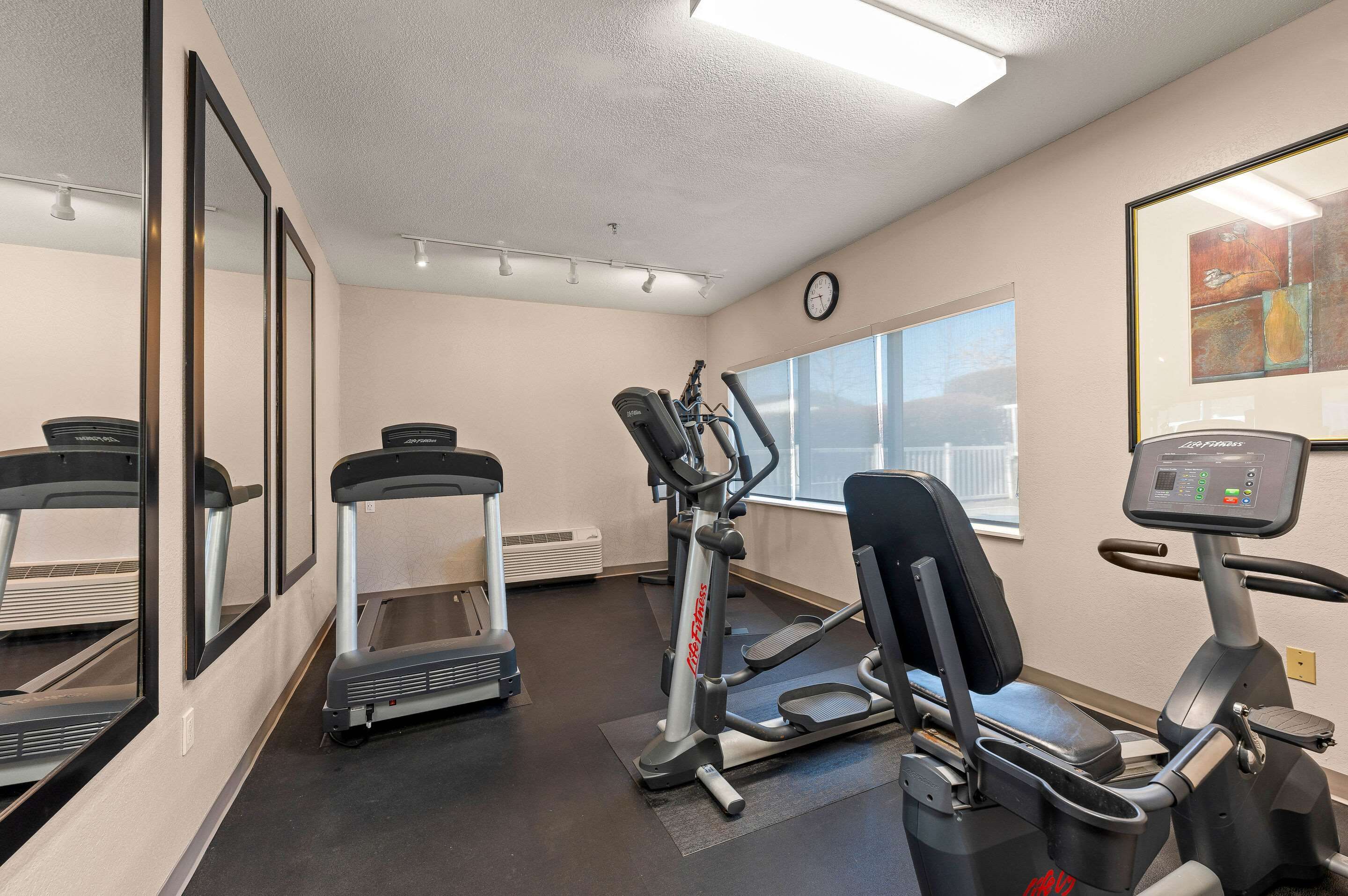 Gimnasio