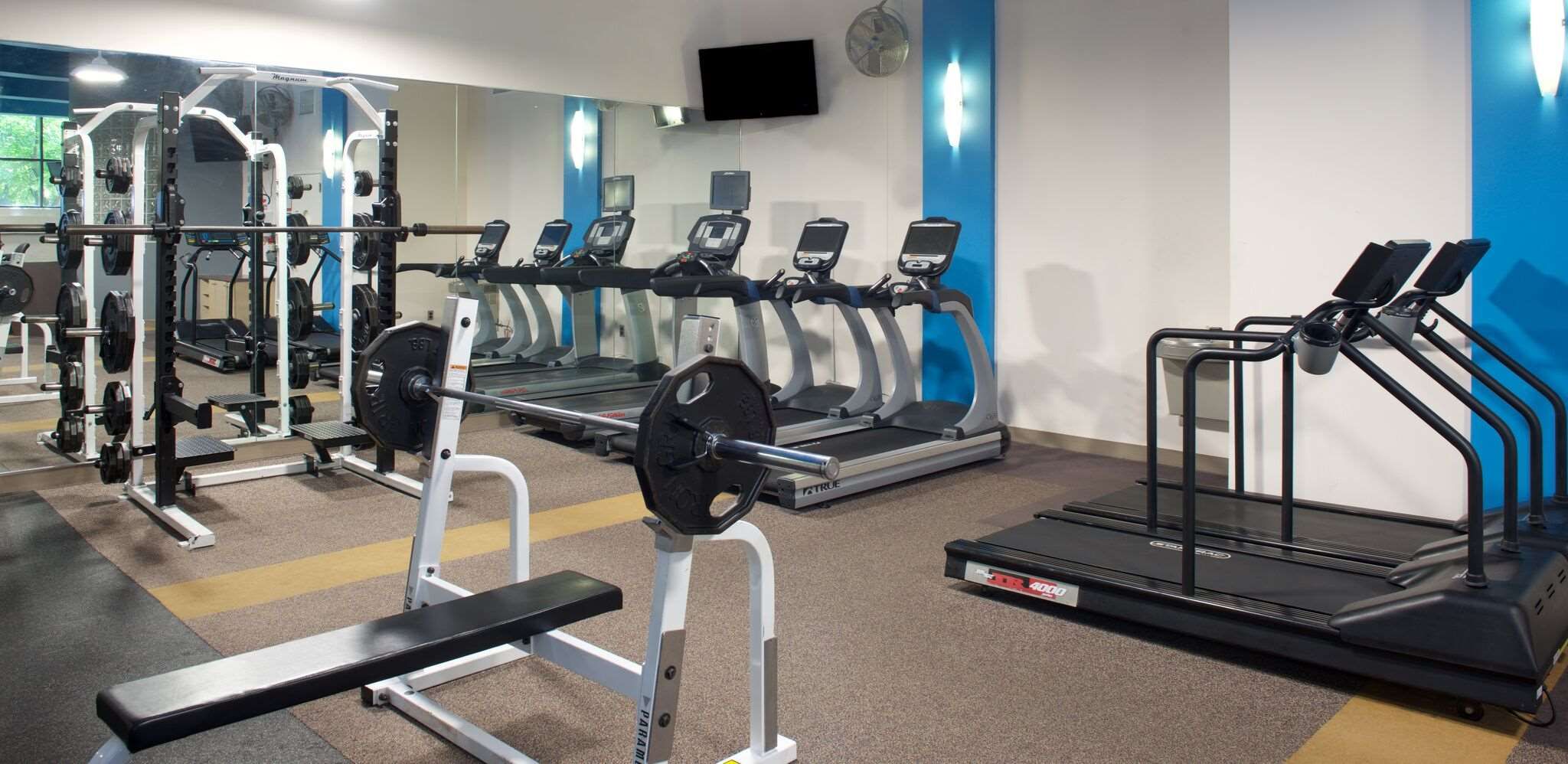 Gimnasio