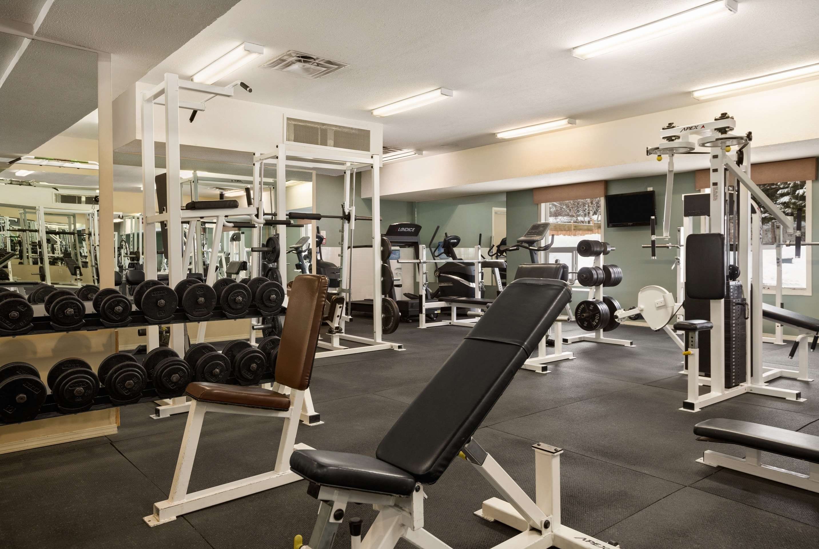 Gimnasio