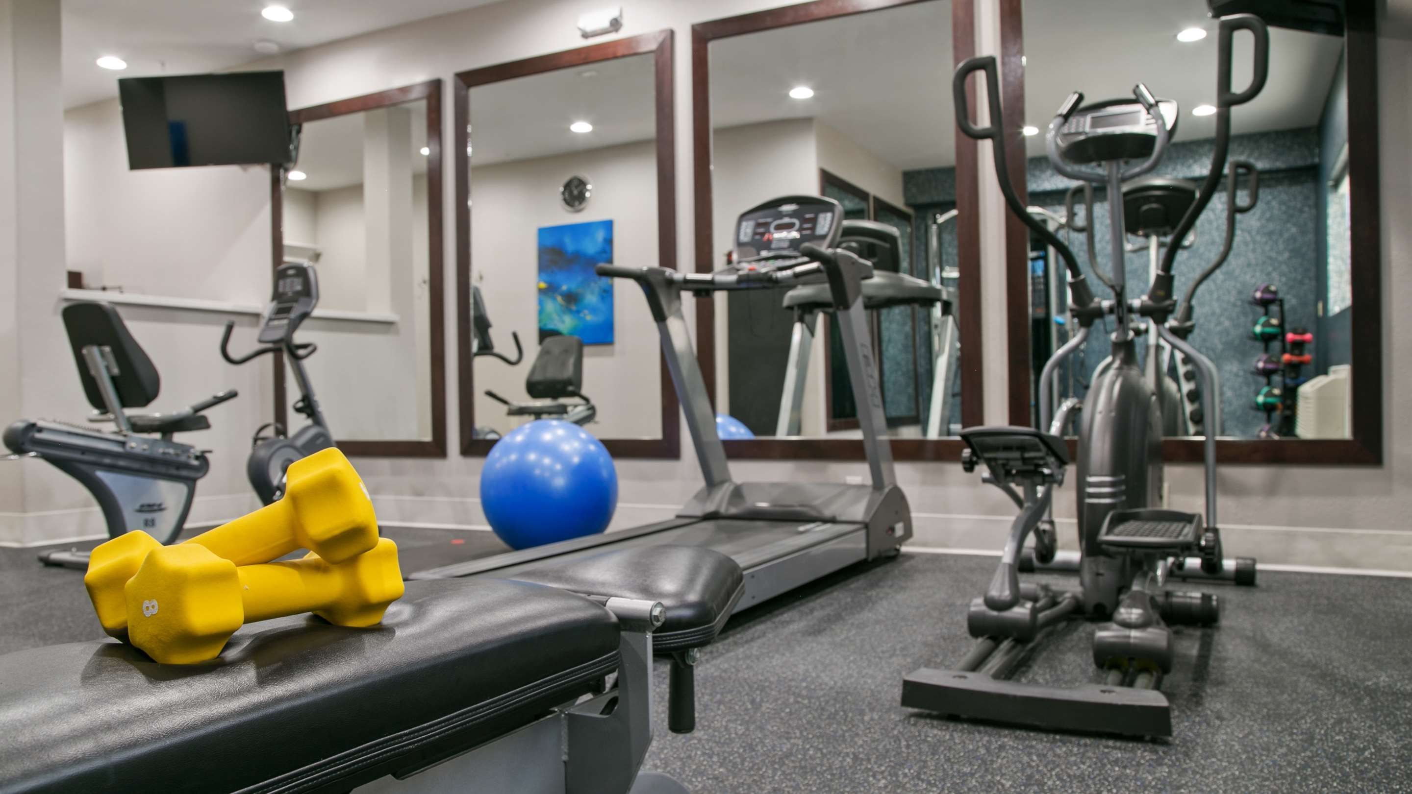 Gimnasio