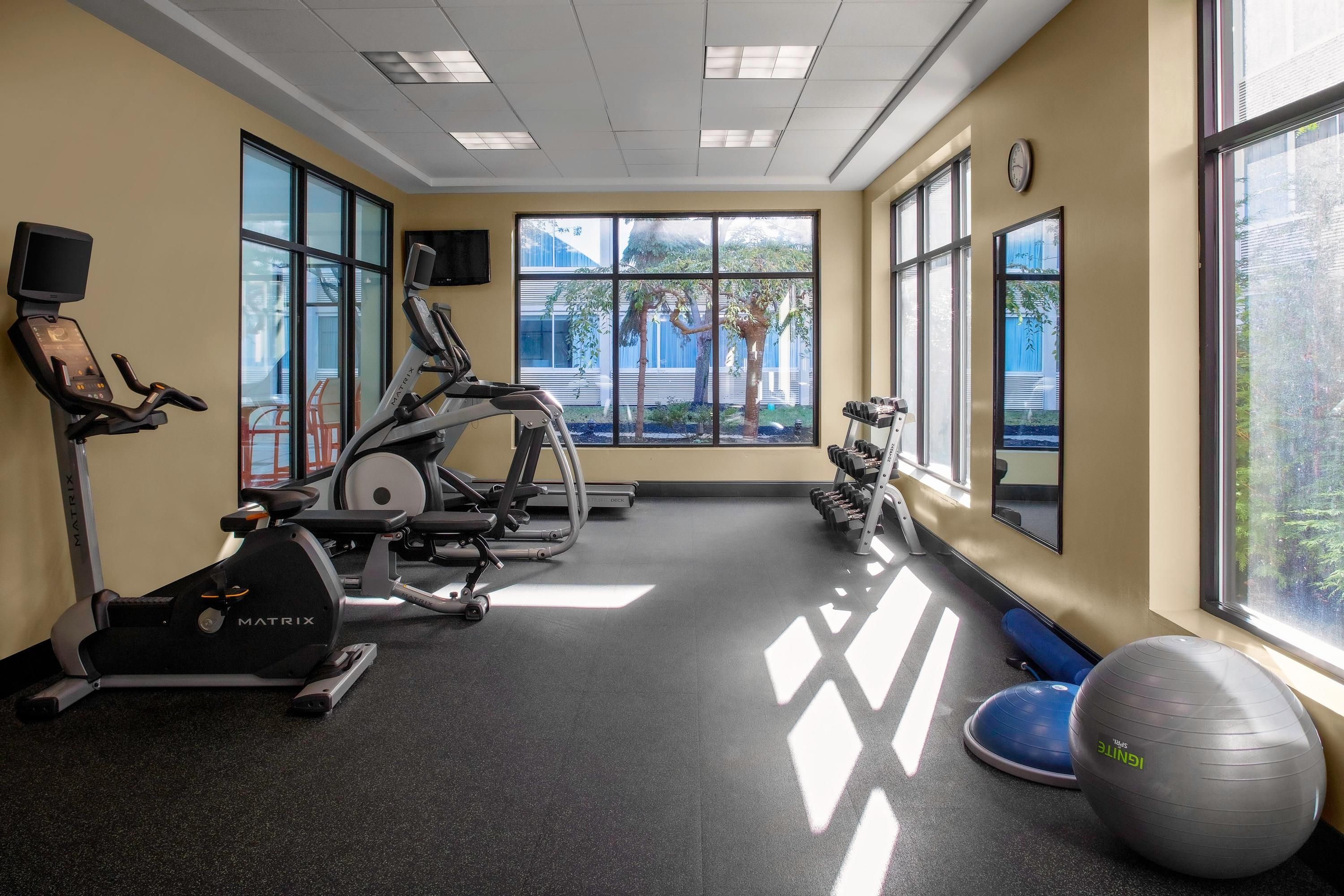 Gimnasio
