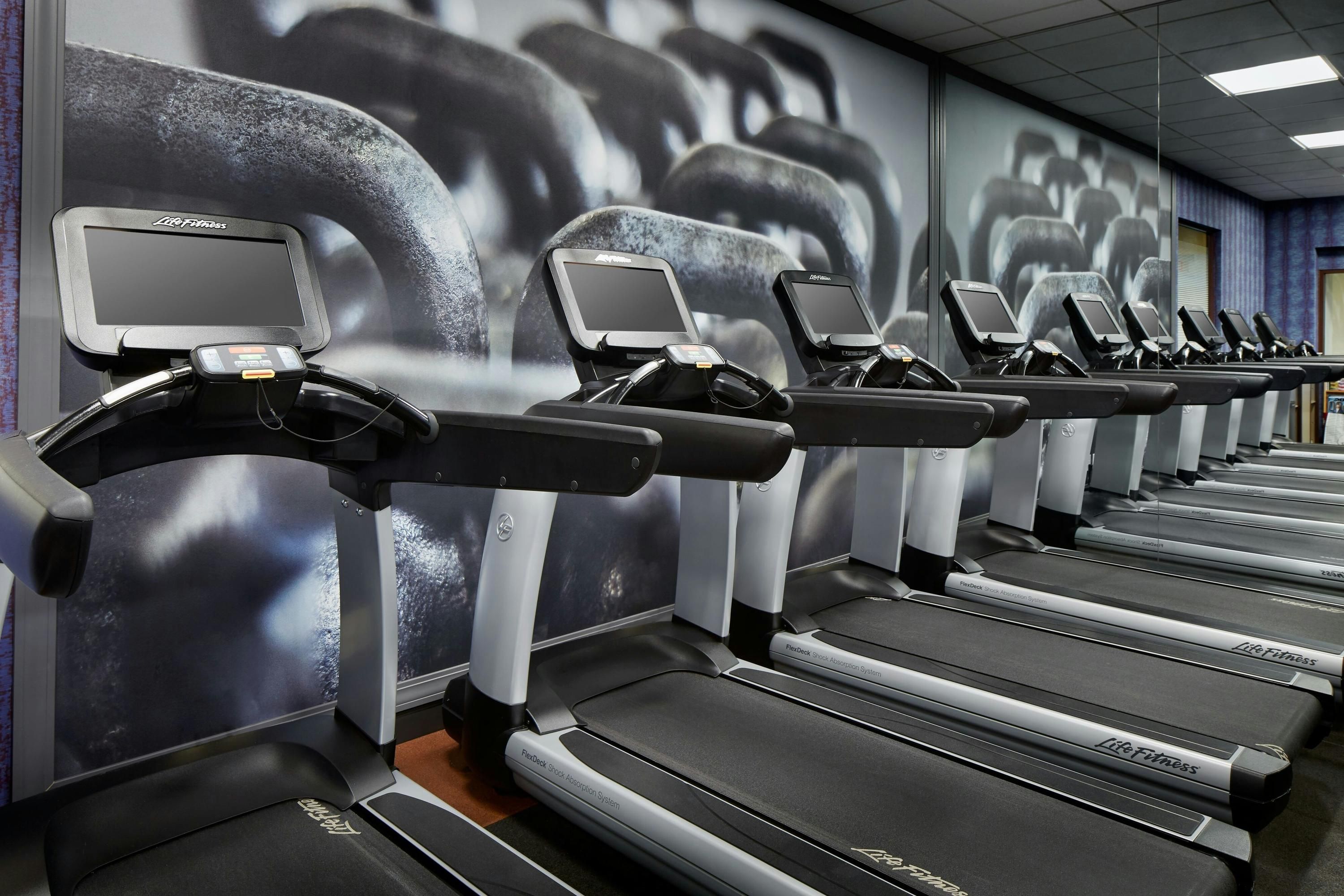 Gimnasio