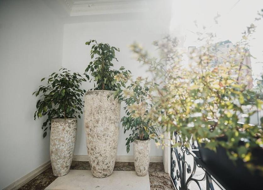 Servicio de la habitación Foto