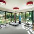 Gimnasio