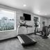 Gimnasio