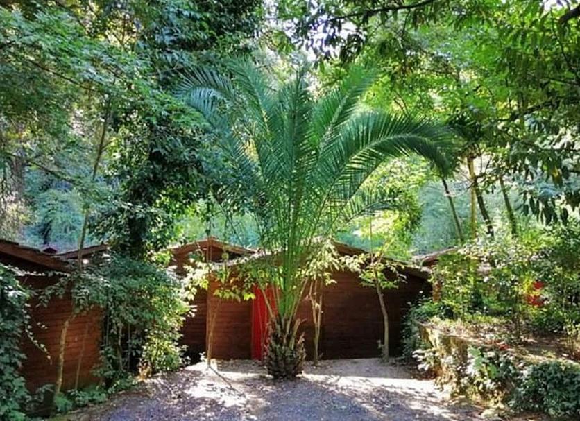 Vista del exterior Foto