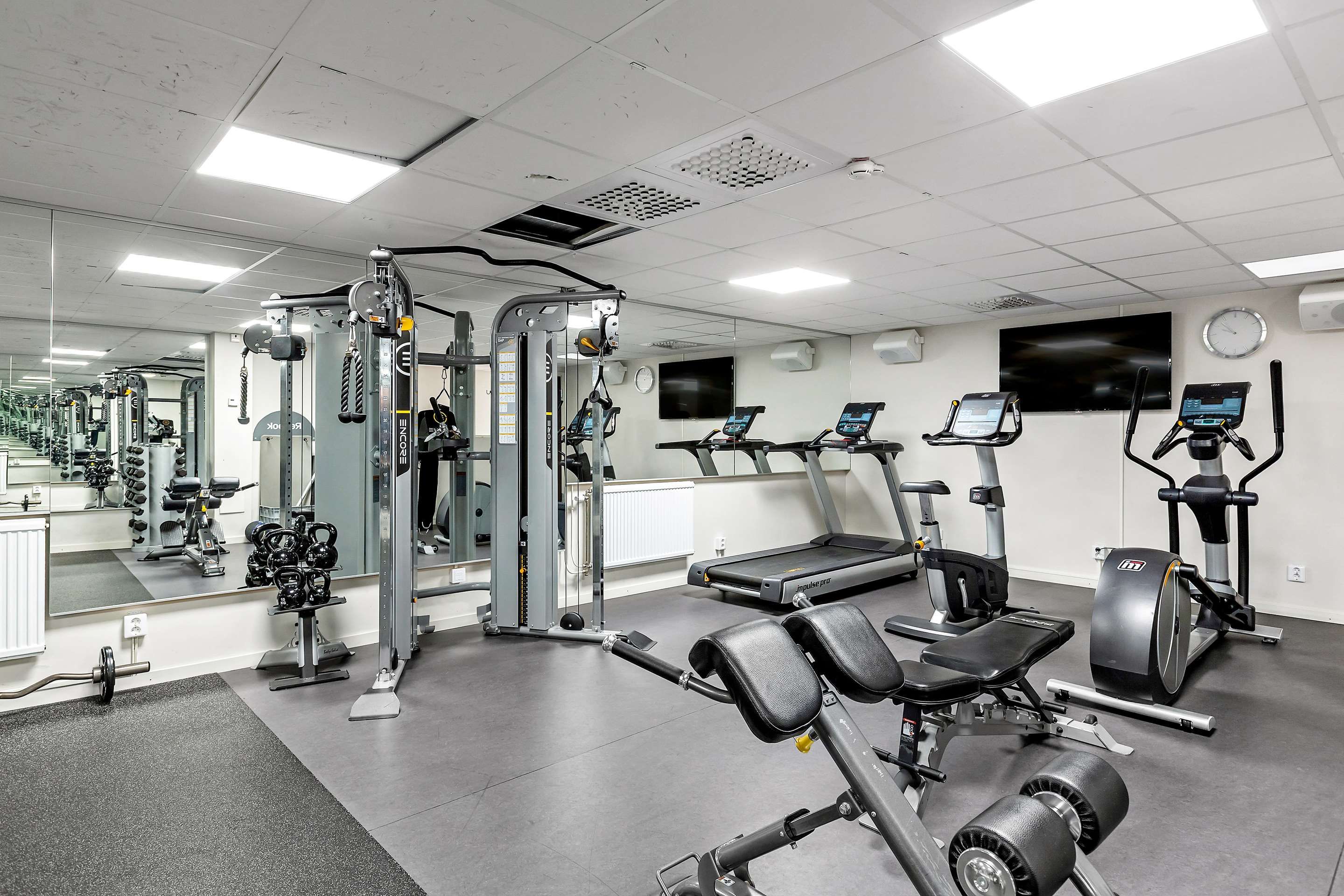 Gimnasio