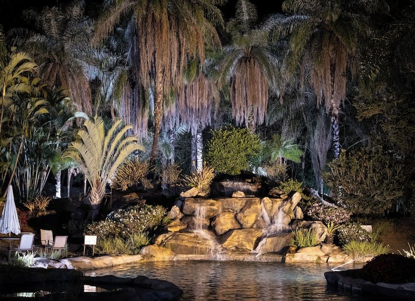 Otro Foto