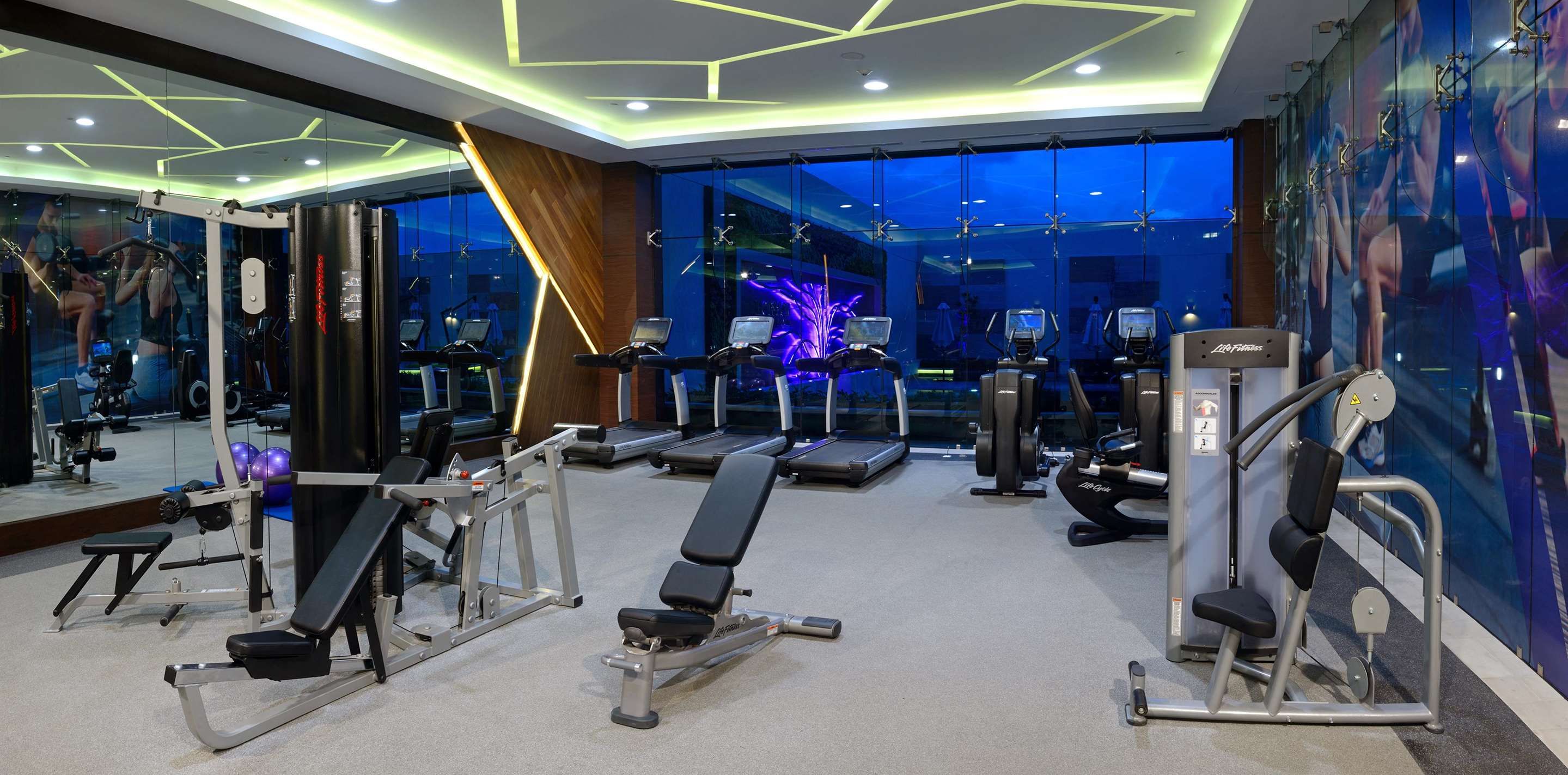 Gimnasio