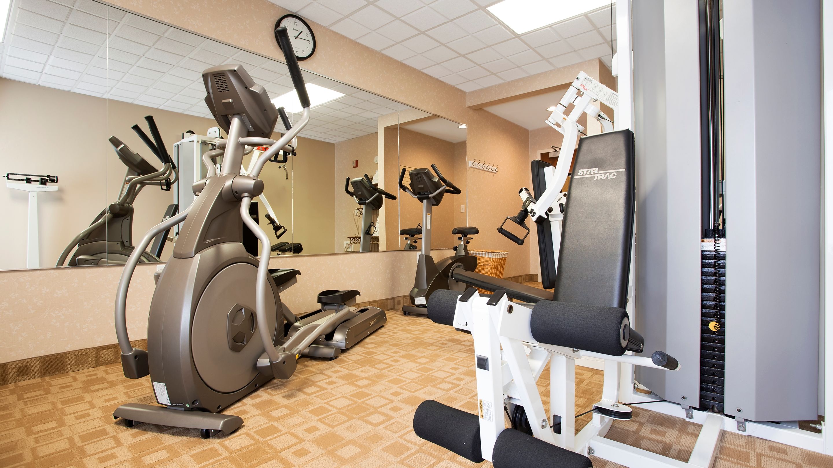 Gimnasio