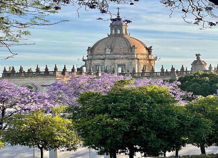 Otro Foto