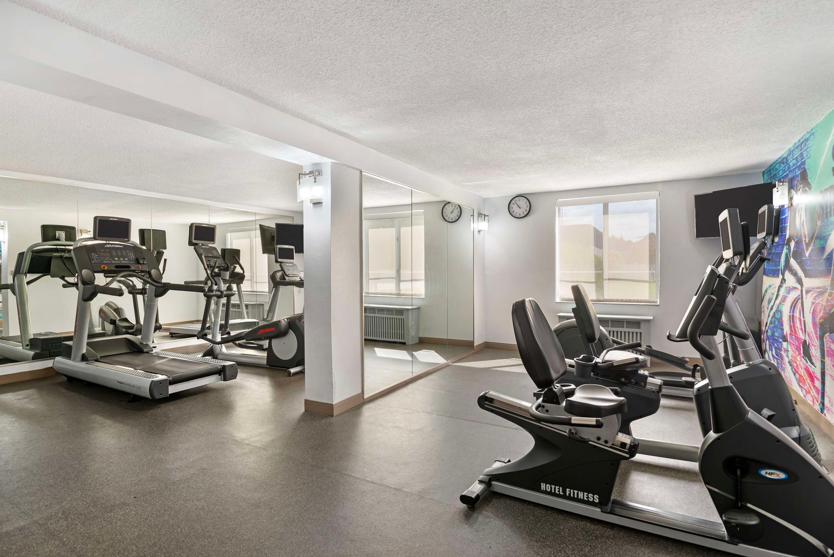 Gimnasio