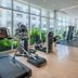 Gimnasio