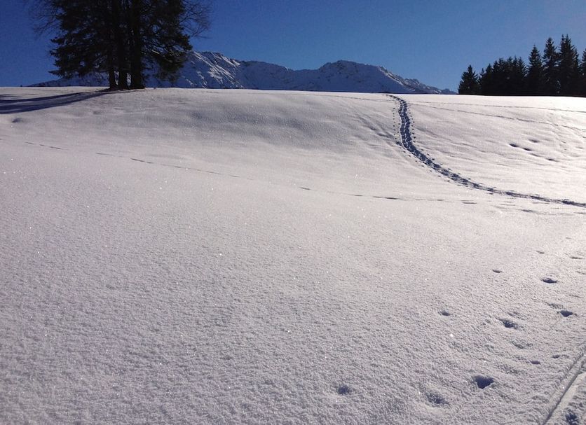 Servicio del hotel Foto