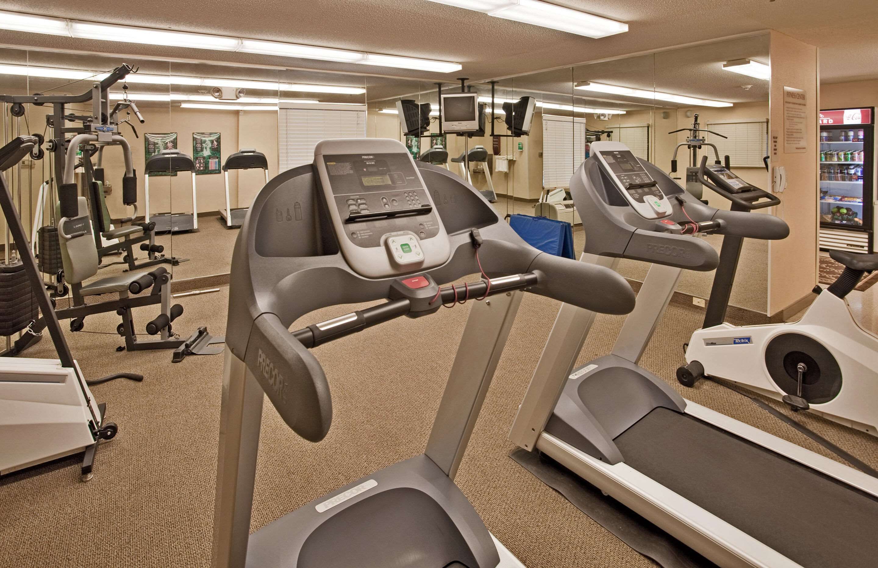 Gimnasio