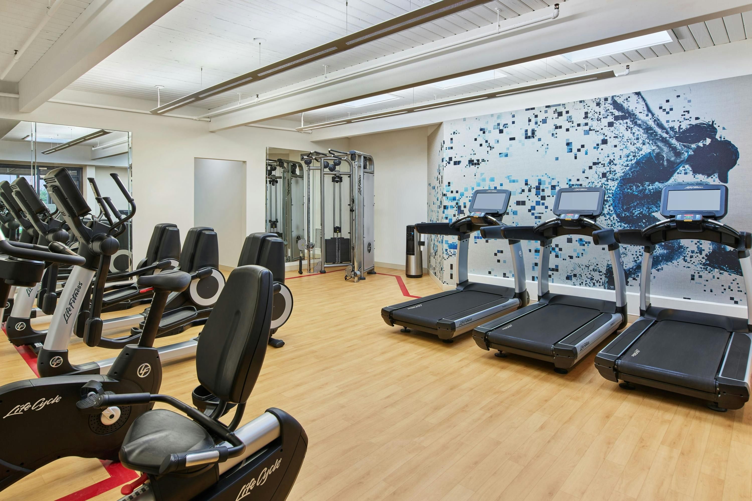 Gimnasio