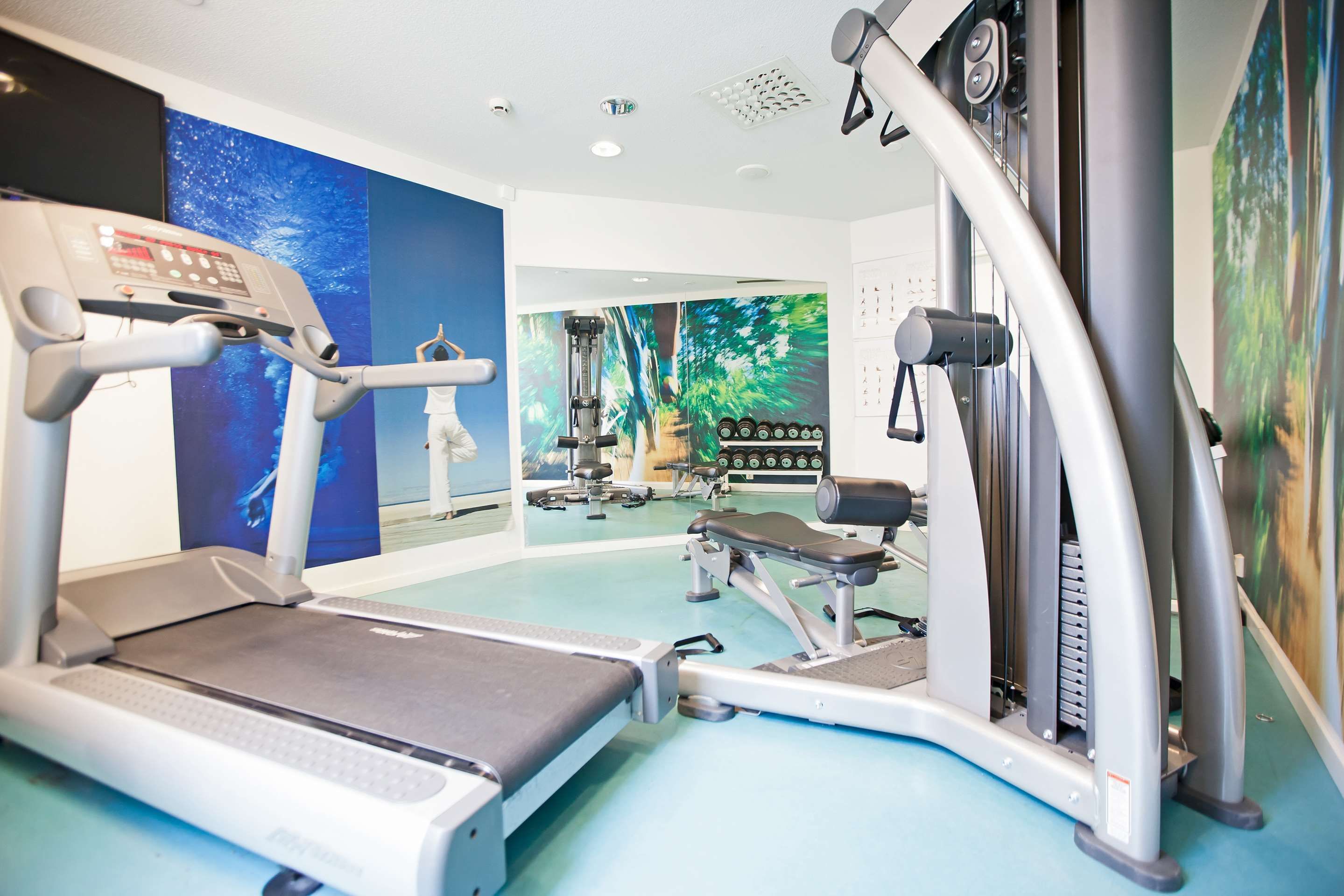 Gimnasio
