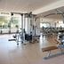Gimnasio