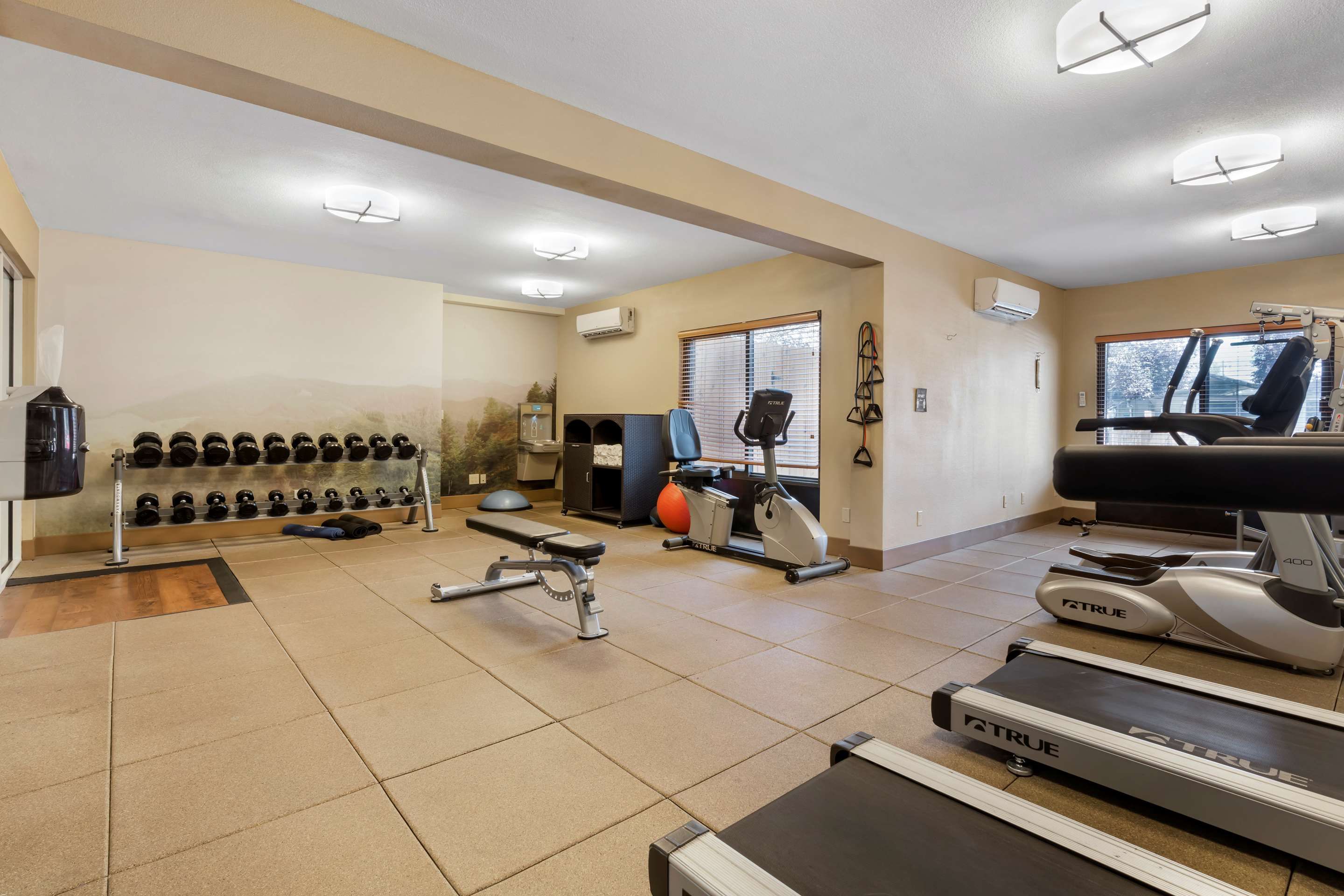 Gimnasio