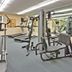 Gimnasio