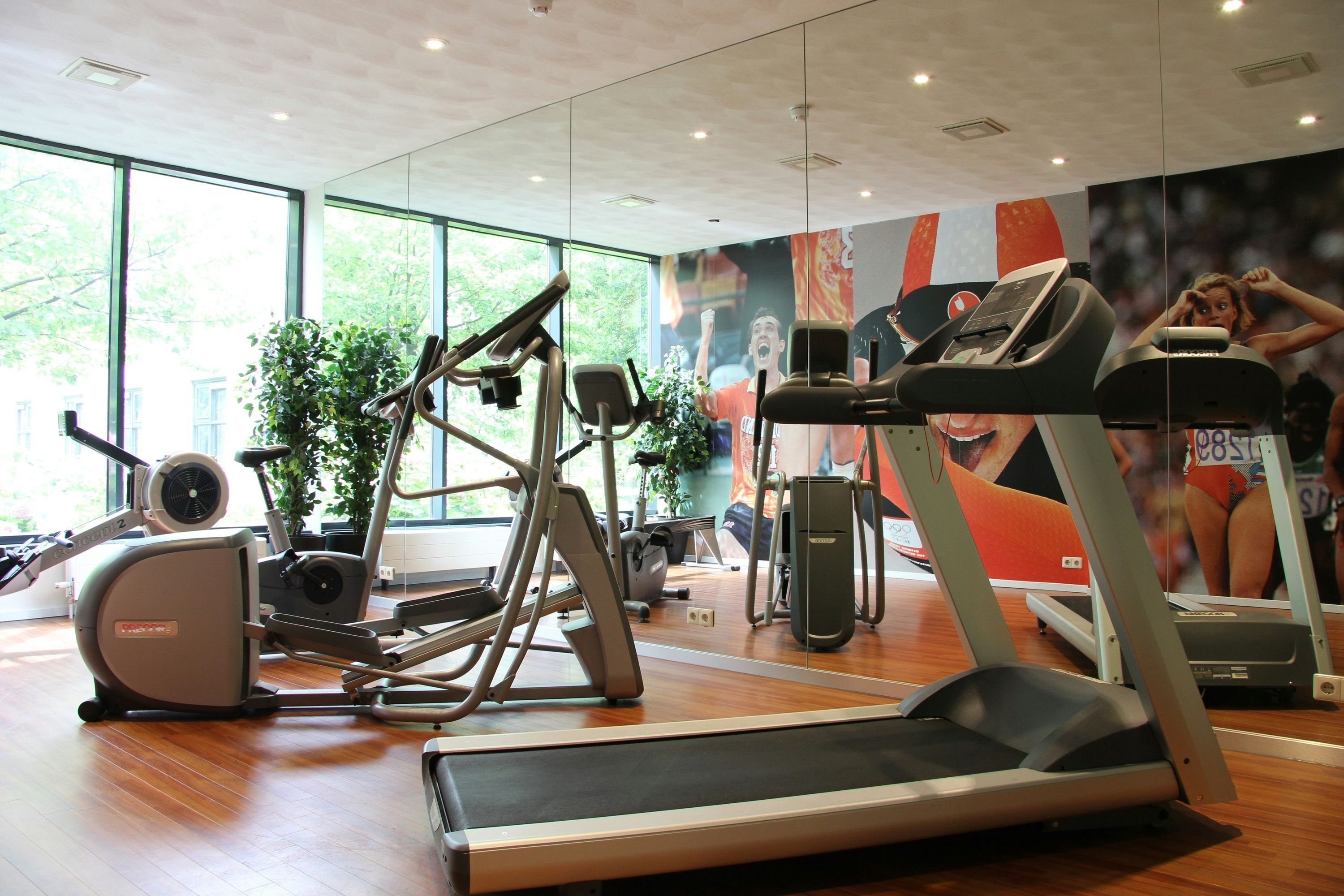 Gimnasio