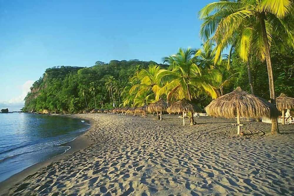 Playa Foto