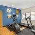 Gimnasio