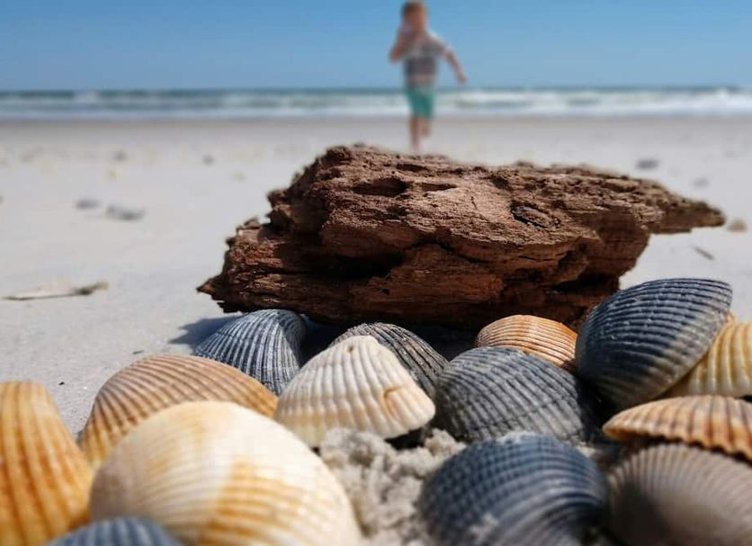 Playa Foto