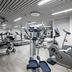 Gimnasio