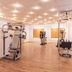 Gimnasio