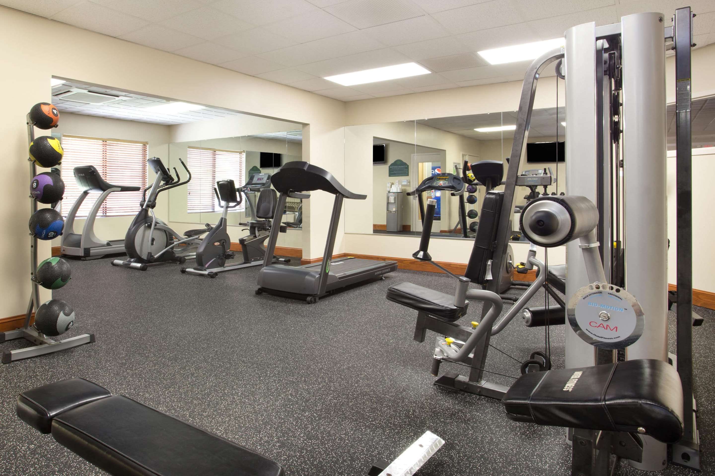 Gimnasio
