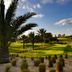 Campo de Golf